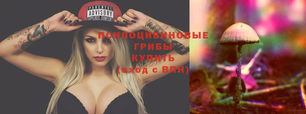 молекула духа Абинск