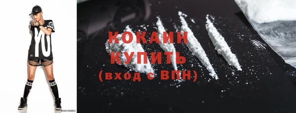 тгк Абаза