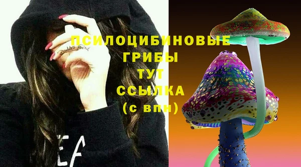 тгк Абаза