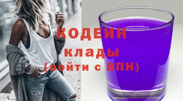 тгк Абаза