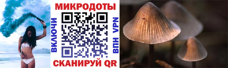 Псилоцибиновые грибы мухоморы  Юхнов 